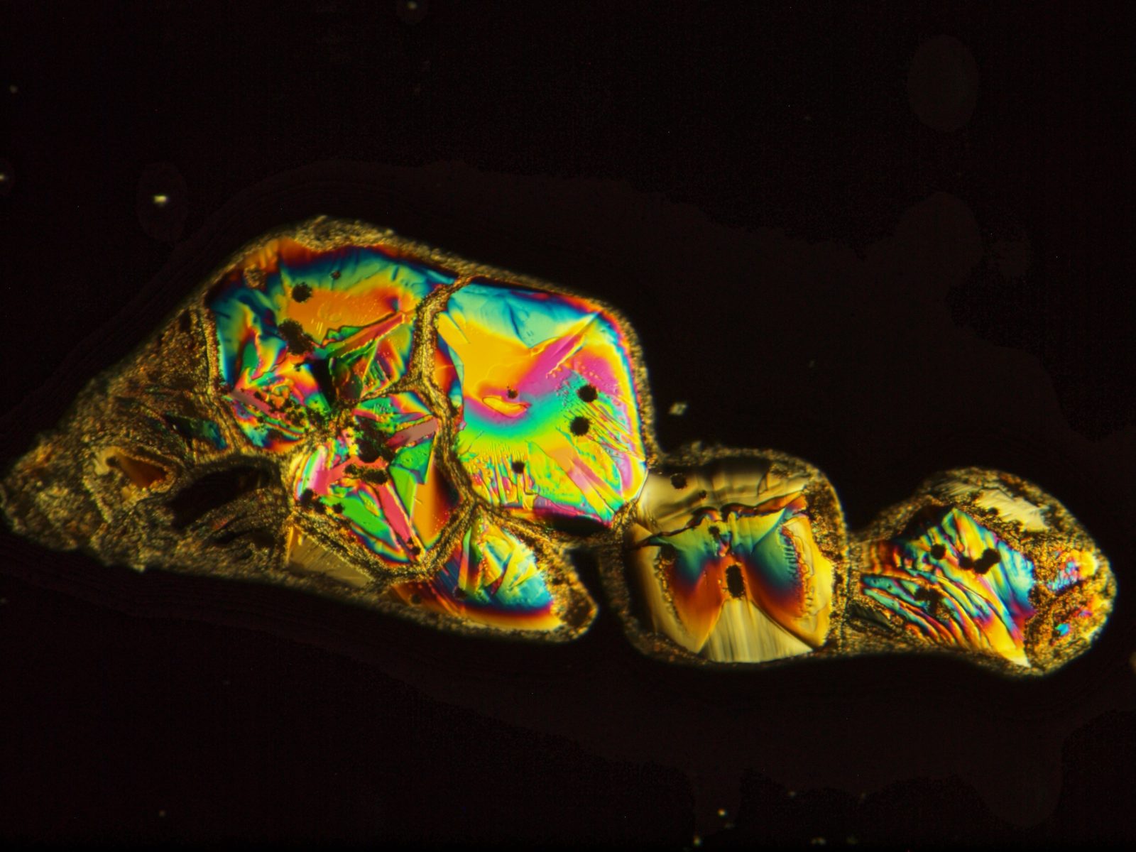 “Mundo interior del agua” – Sofia Medina